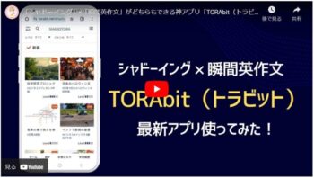 トラビットの体験動画