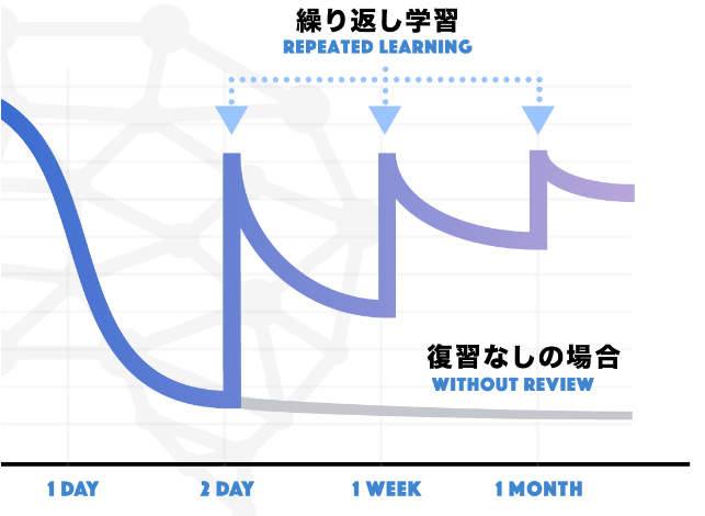 TANZAMの復習の仕組みの図解